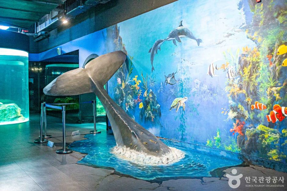 울진 가볼만한곳 베스트10