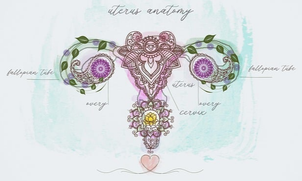 무월경의 원인과 치료 관련 이미지