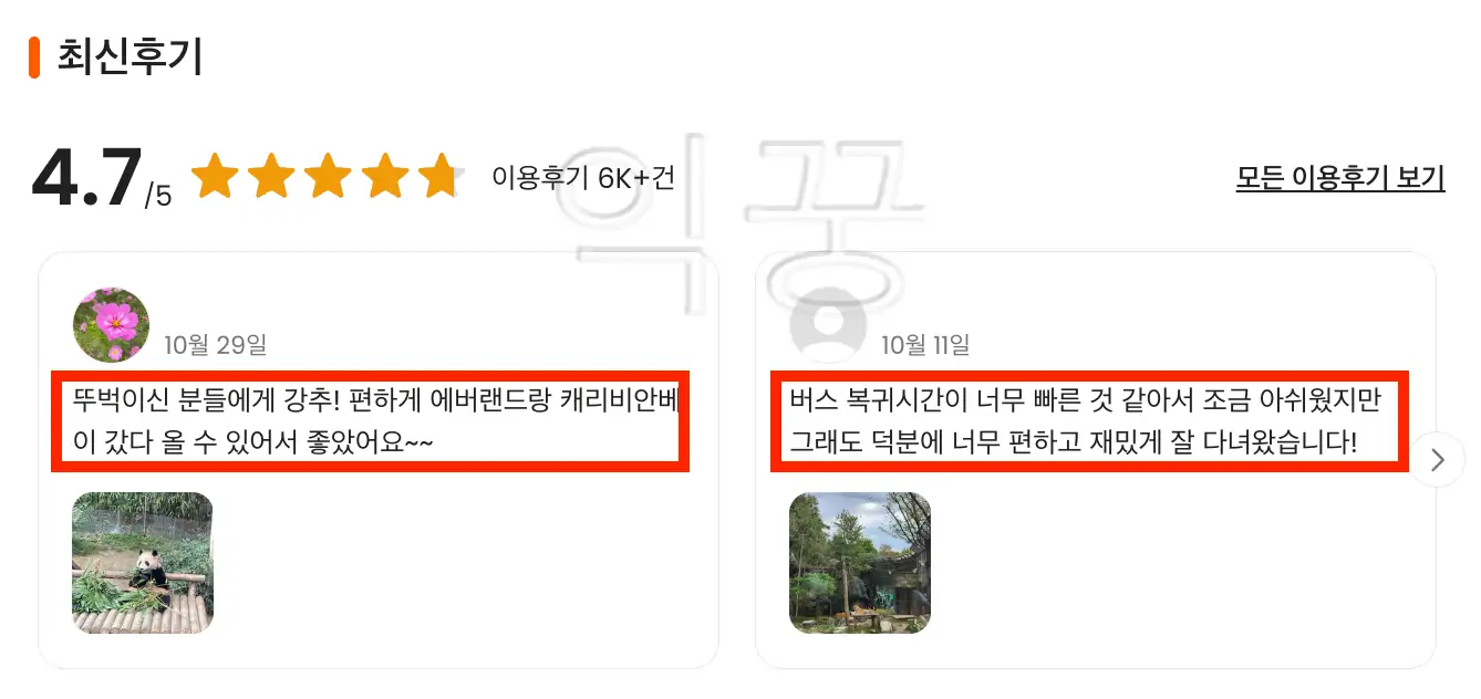 에버랜드 셔틀버스 시간표 요금 예약방법 총정리4