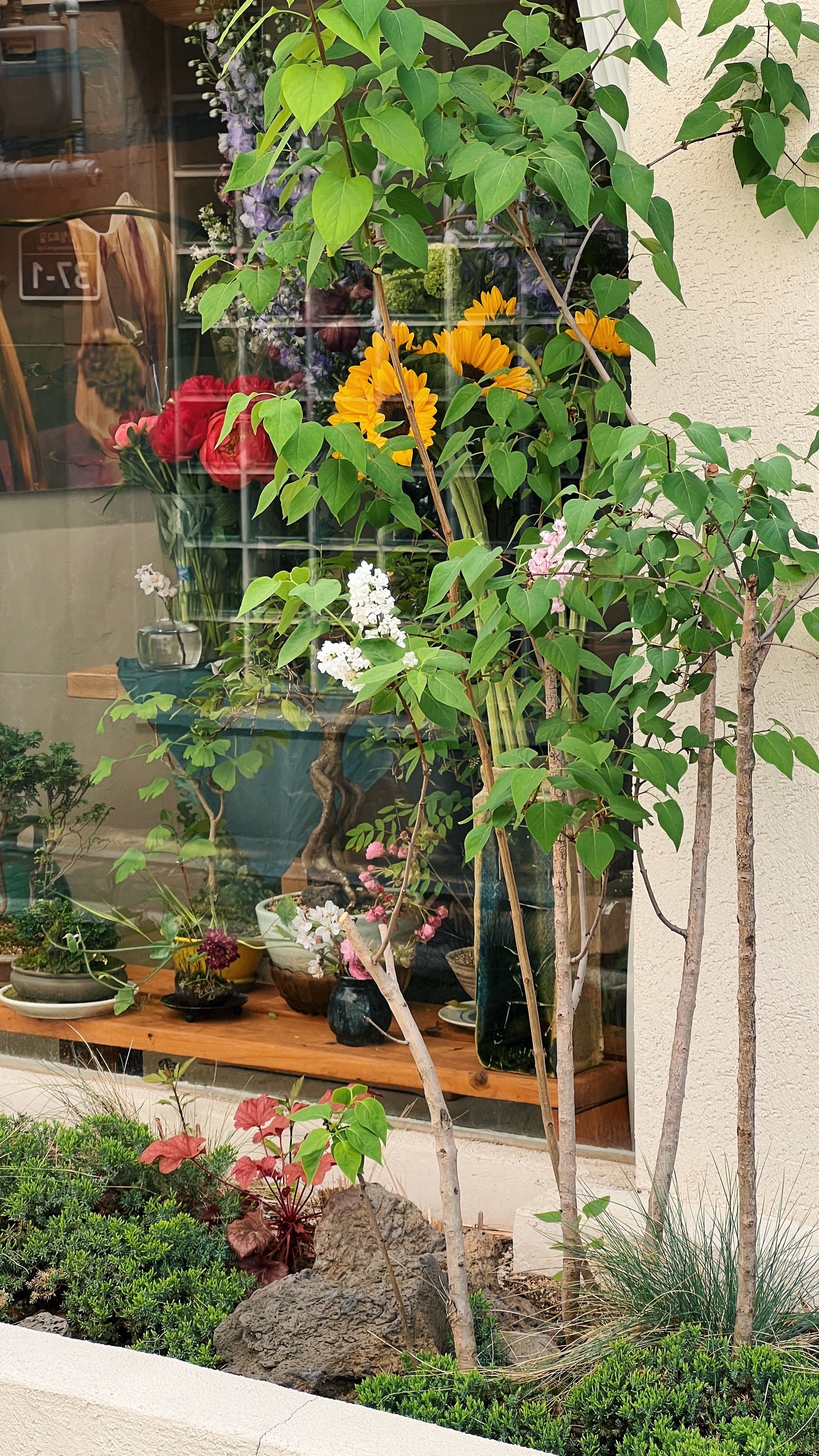 삼청동-가볼만한-곳-북촌마을-맛집