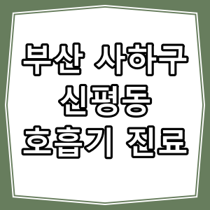 부산시 사하구 신평동 호흡기 내과 진료 동네 병원