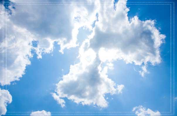 동백패스 환급일