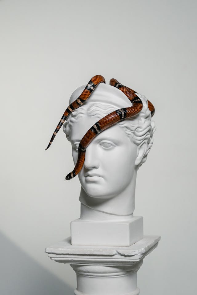 뱀꿈해몽11가지