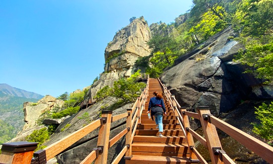 무릉계곡 관련 홍보영상 이미지