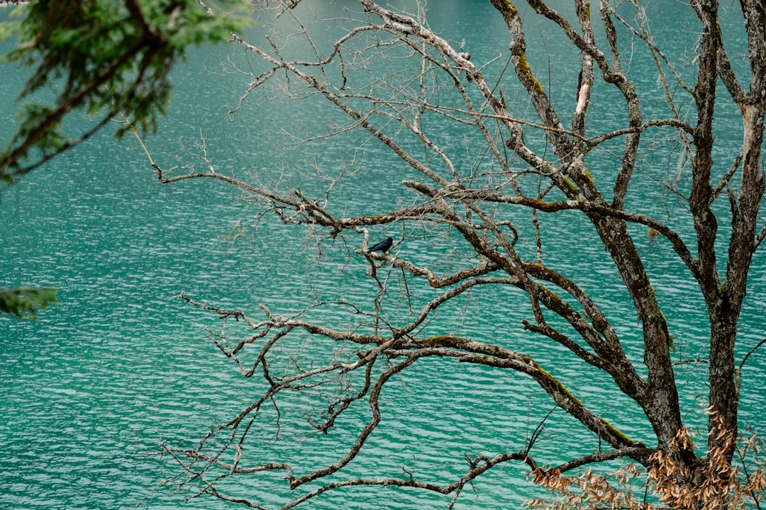 Jiuzhaigou