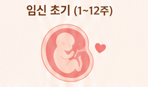 임신초기