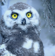 자동차 엔진경고등 원인