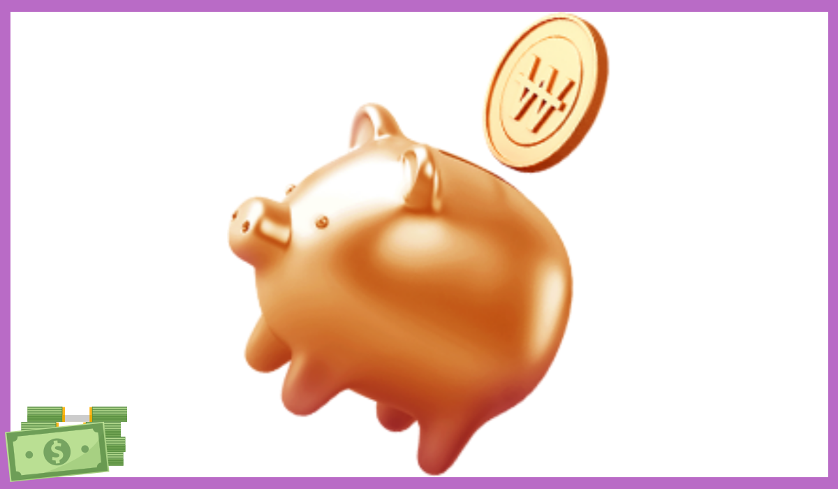 K패스 교통카드 신청