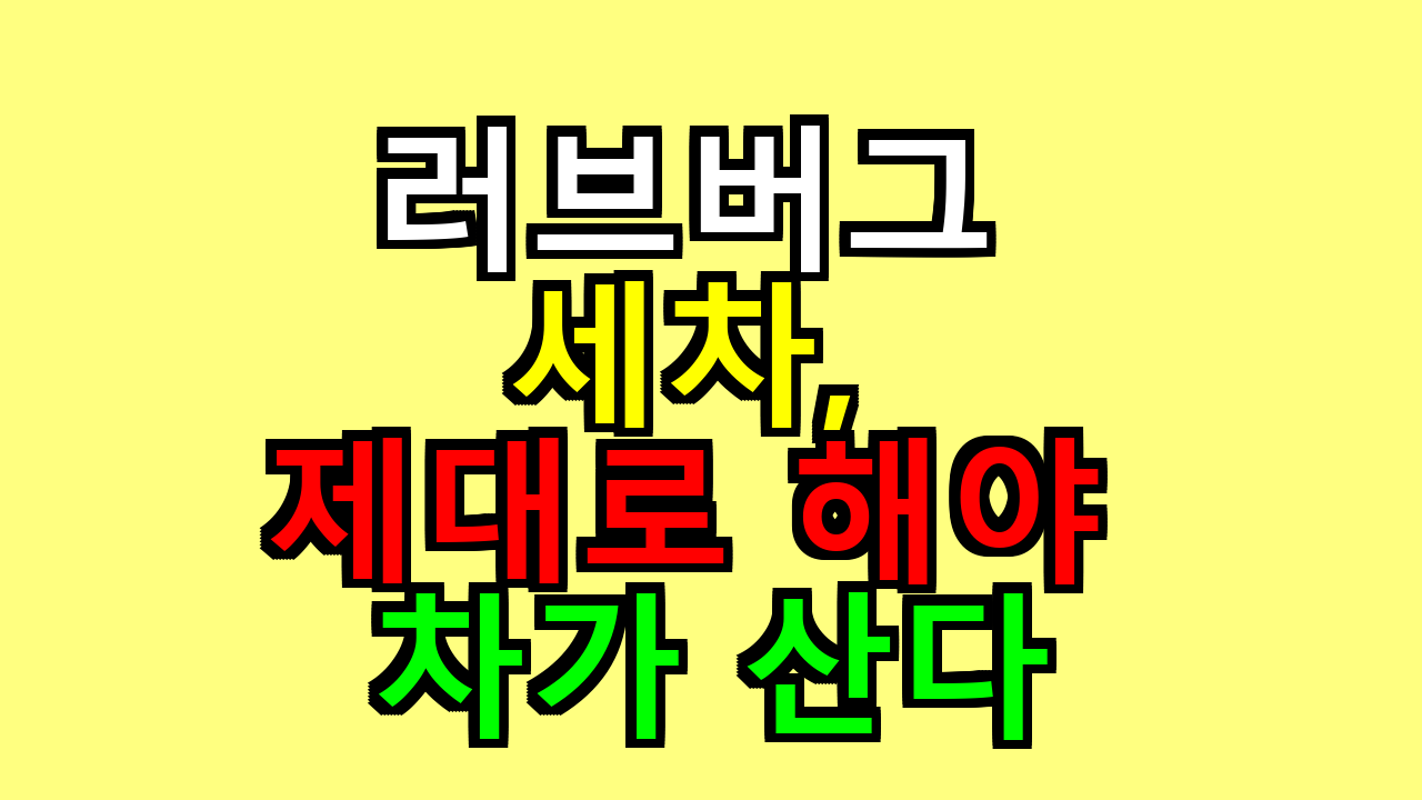 러브버그 세차, 제대로 해야 차가 산다