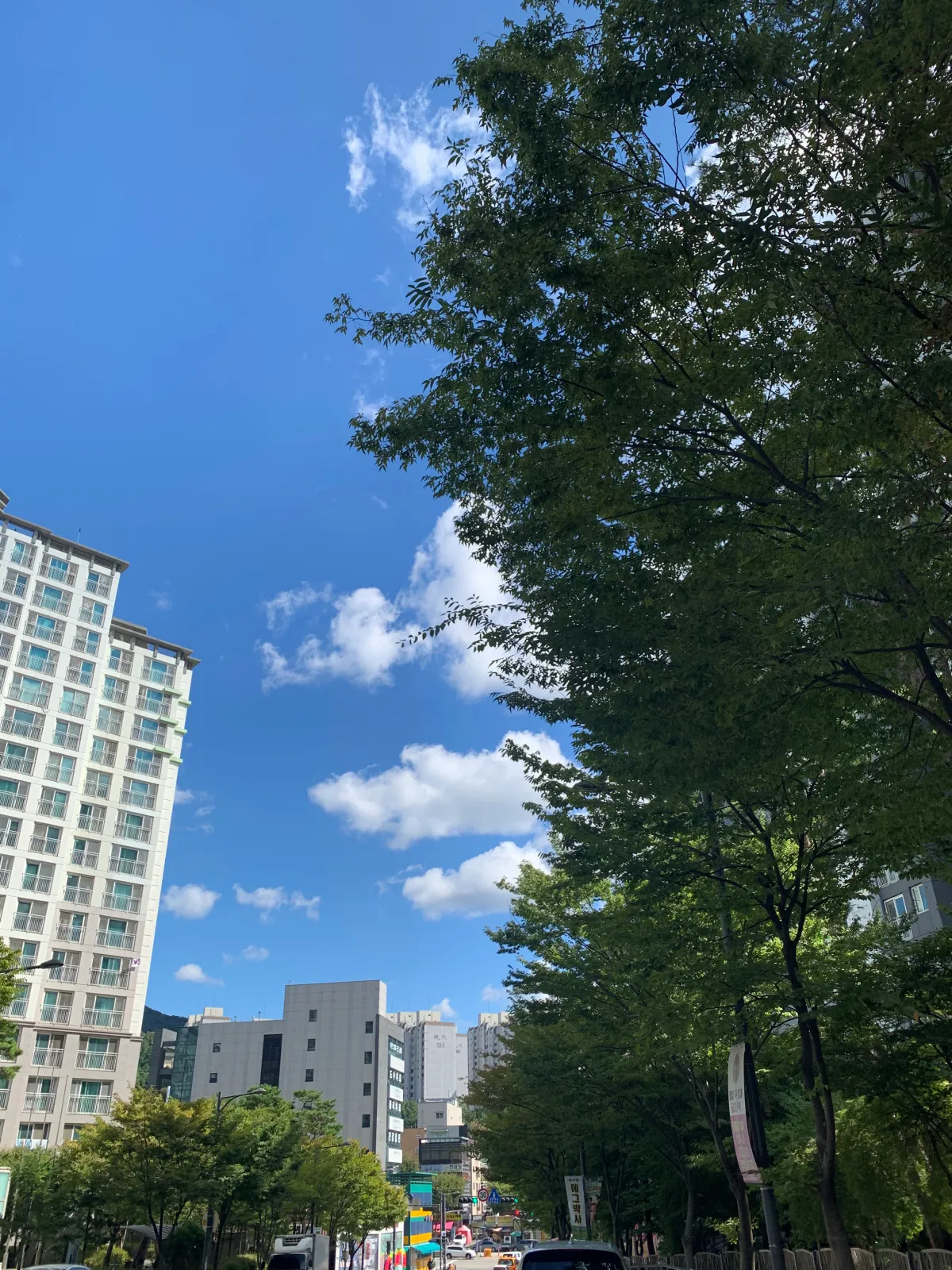 무인카페-안에서-밖을-본-풍경