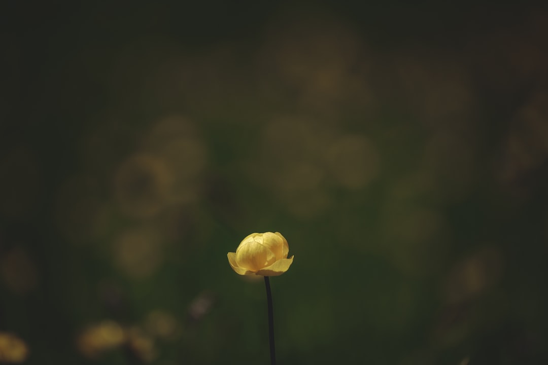 Reason
