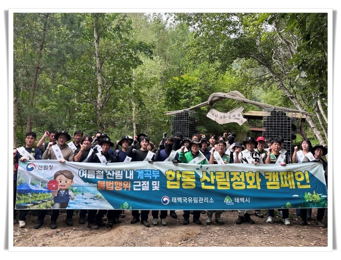 태백국유림관리소, 지지리골 자작나무숲서 산림정화 캠페인