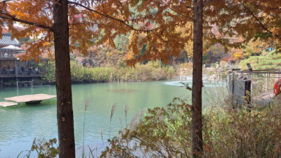 단풍명소_화담숲_연못