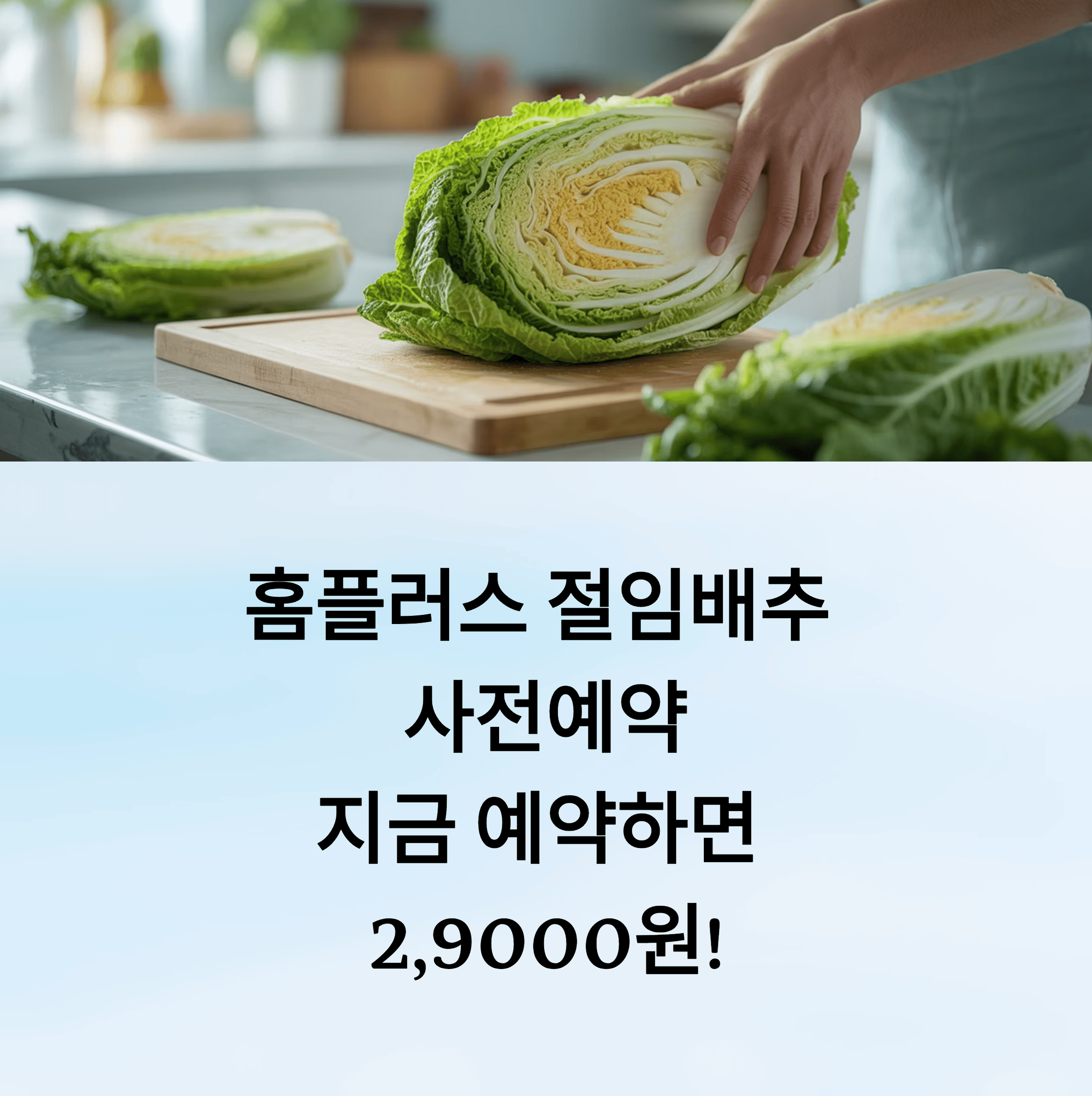 홈플러스 절임 배추 사전 예약, 2만원대 특가