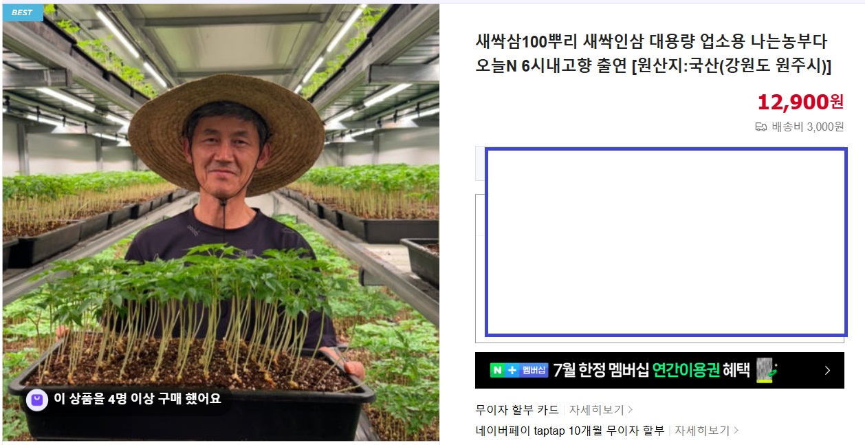 6시내고향-강원-원주-새싹삼-함결농장