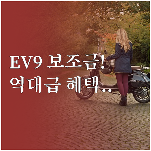 EV9 스탠다드 2026년 보조금 혜..