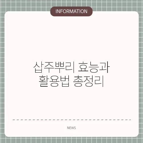 삽주뿌리 효능과 활용법 총정리