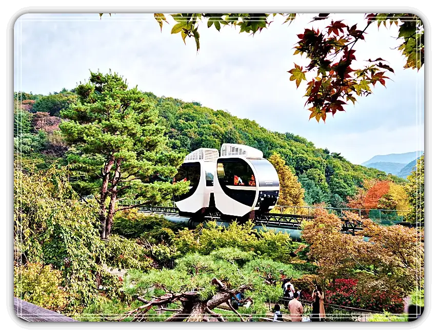 화담숲_모노레일-숲-단풍-소나무