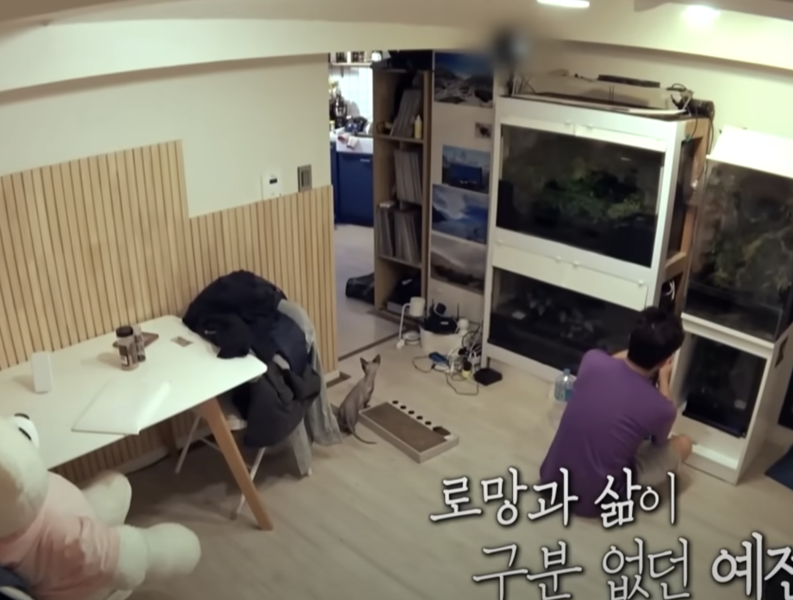 나 혼자 산다 580회 김대호 집 이주승의 코코 동거기