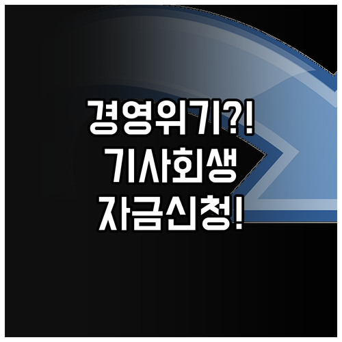 경영 위기 극복 기회 2025 구조개..