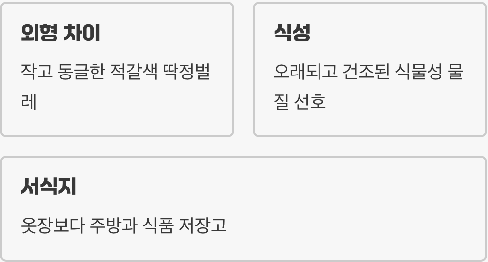 '좀'으로 오해받는 또 다른 범인, 권연벌레