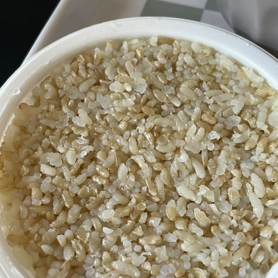 곰곰 현미 곤약밥 밥알