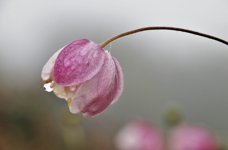 폭싹 속았수다 제주 여행 코스3
