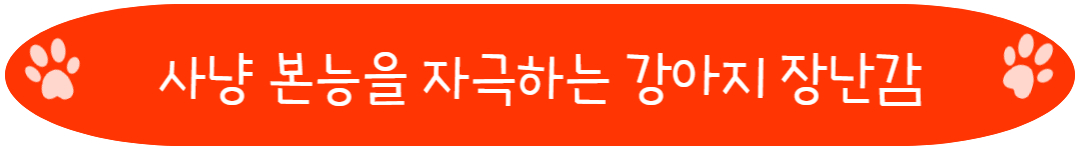 사냥 본능을 자극하는 강아지 장난감