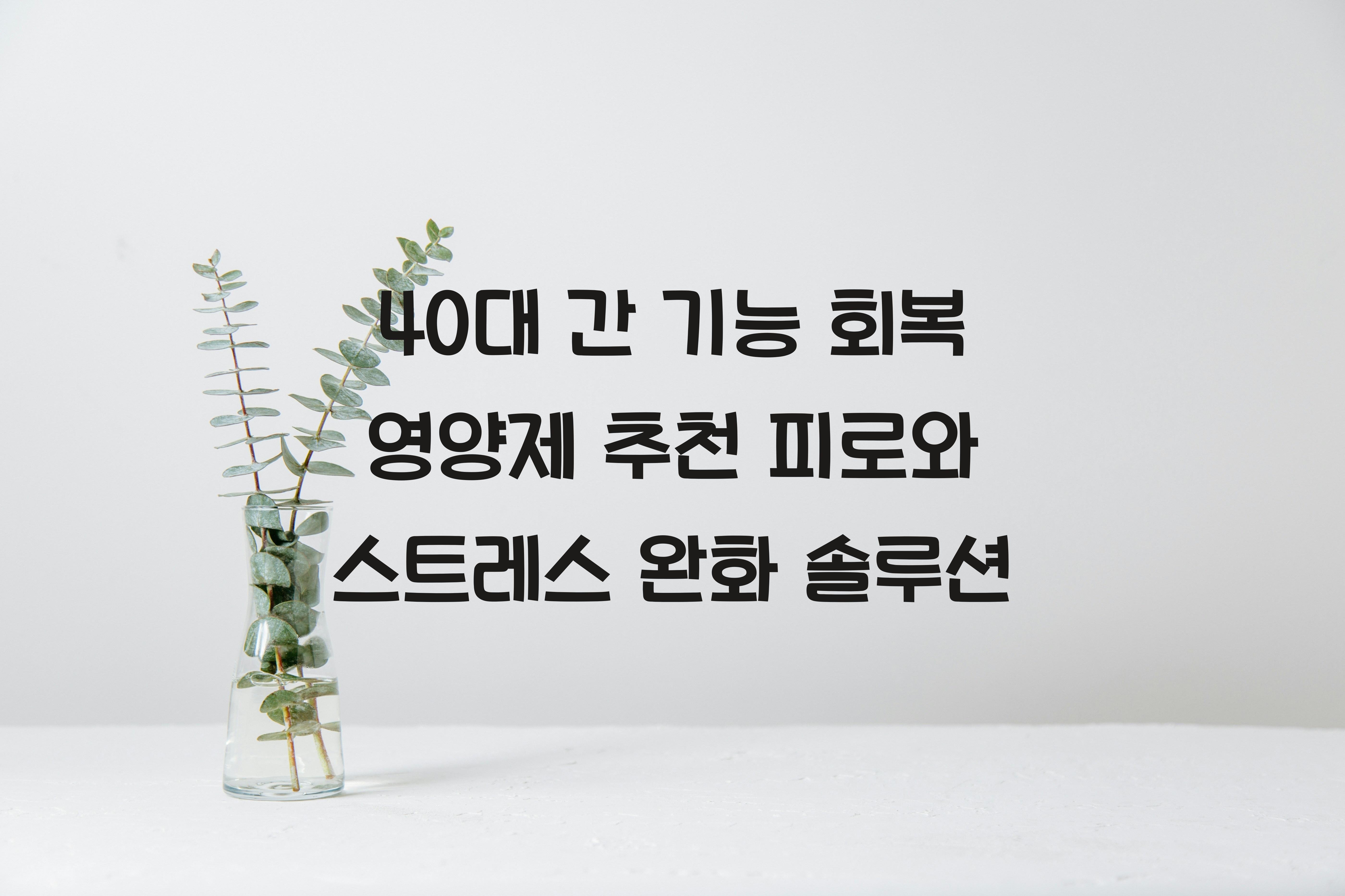 40대 간 기능 회복 영양제