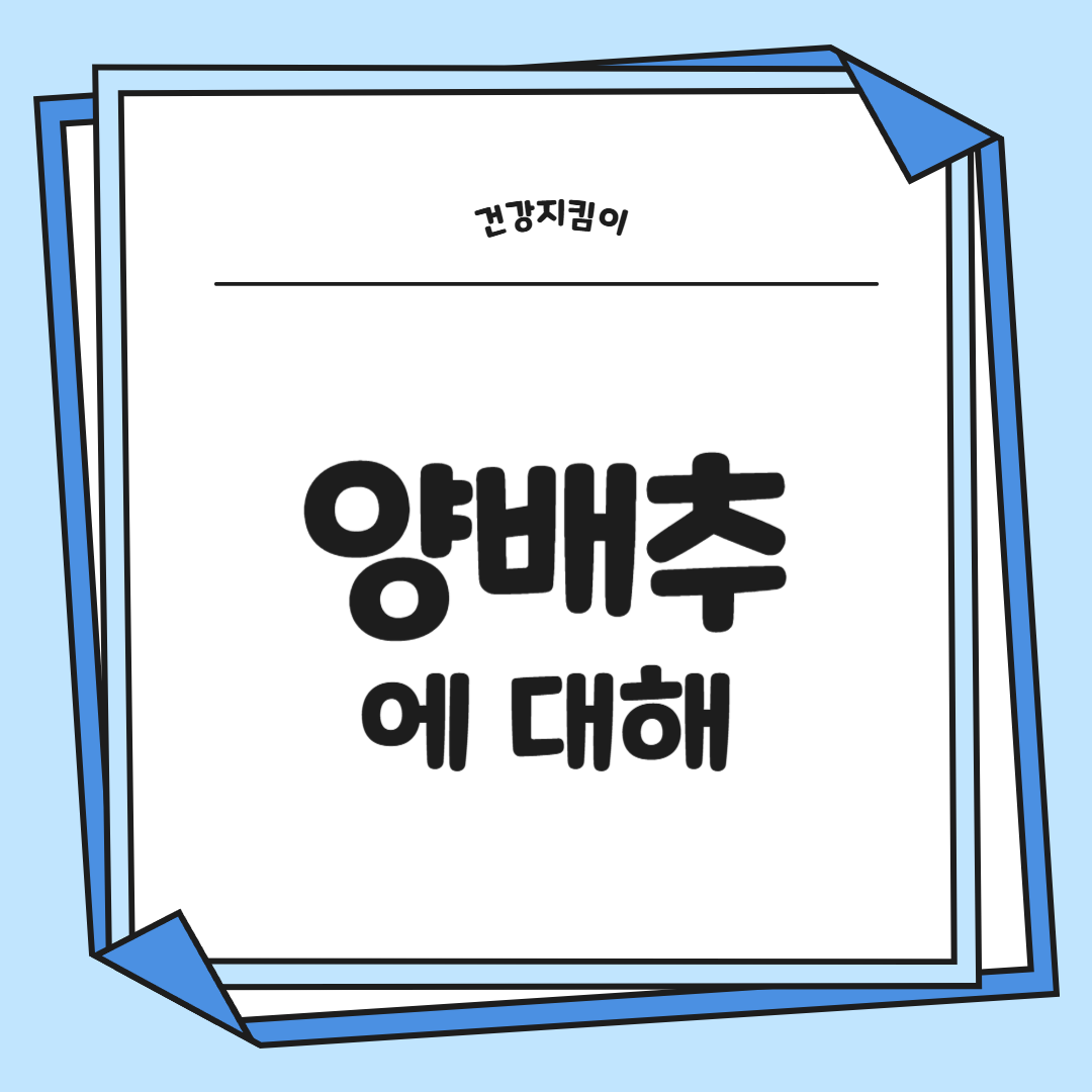 양배추 효능과 부작용 칼로리