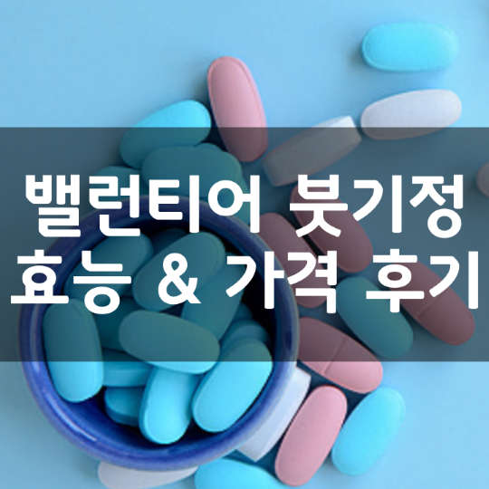 밸런티어-붓기정-슬리멜라인-뜻-성분-효능-부작용-복용법-가격-내돈내산-후기-정리
