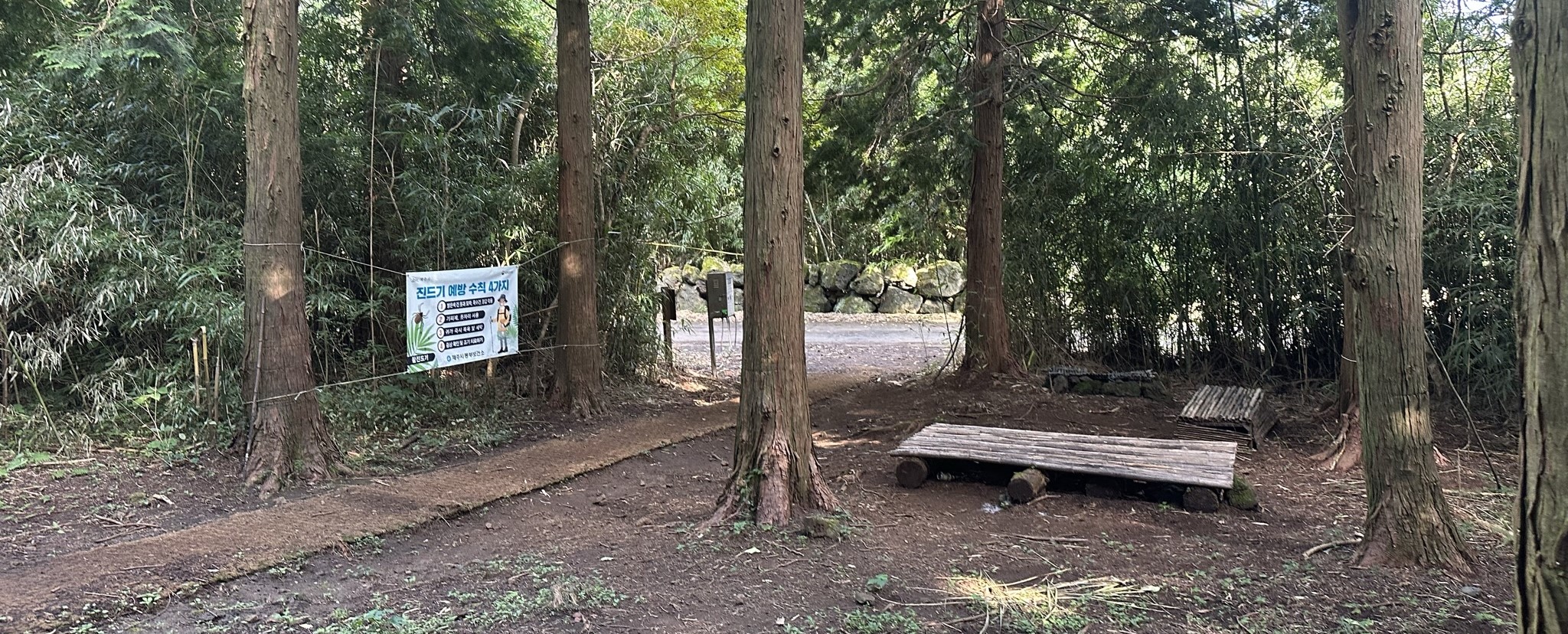 오름 내려가는길