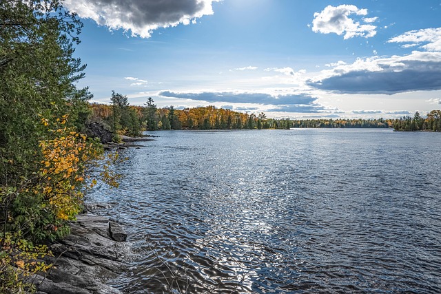 호주 오브리강가 풍경