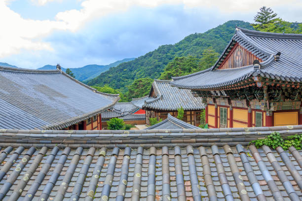 한국 전통 기와지붕