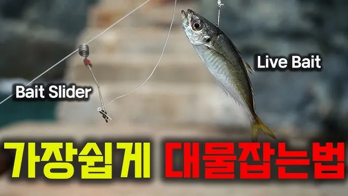 생미끼낚시 팁 감성돔 갯지렁이 미끼 꿰는 법과 입질 파악_6