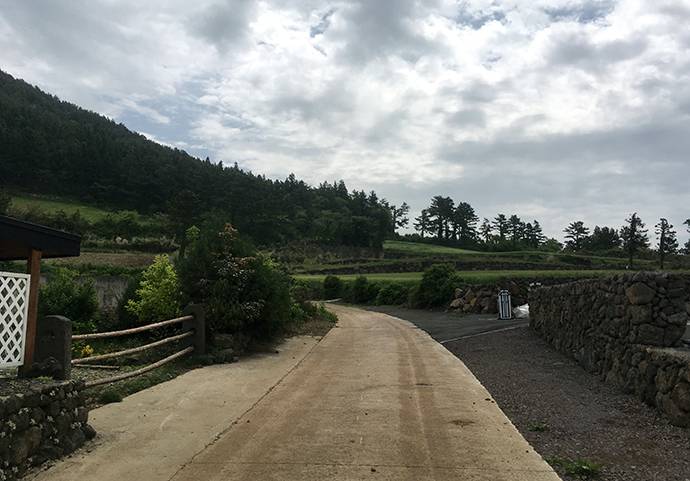 금오름-가는길5