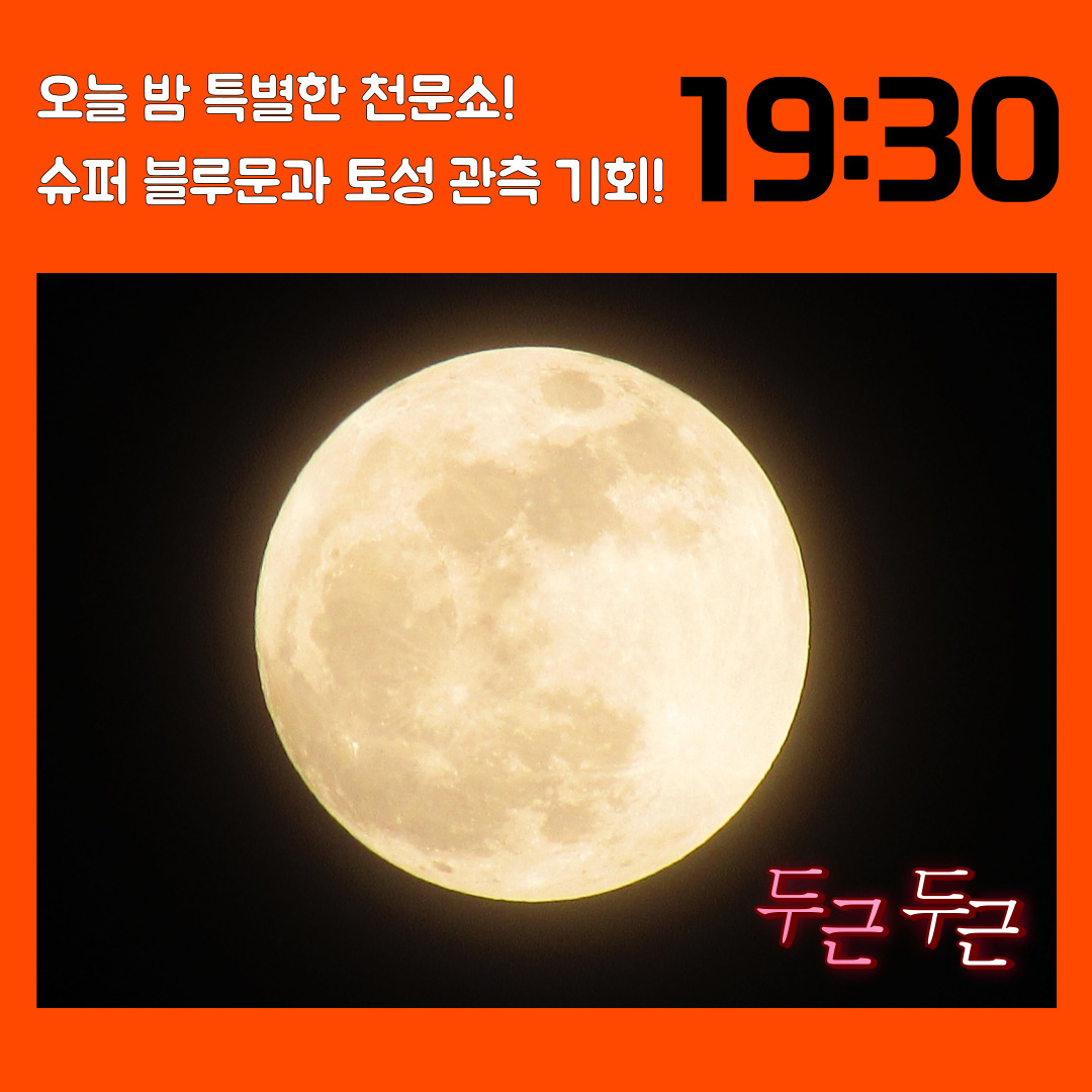 블루문