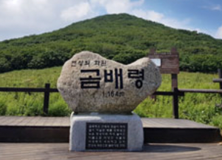 곰배령 탐방로