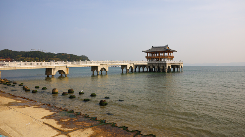 2025년 4월 국내 여행지 추천! 봄꽃과 함께 떠나는 최고의 여행지