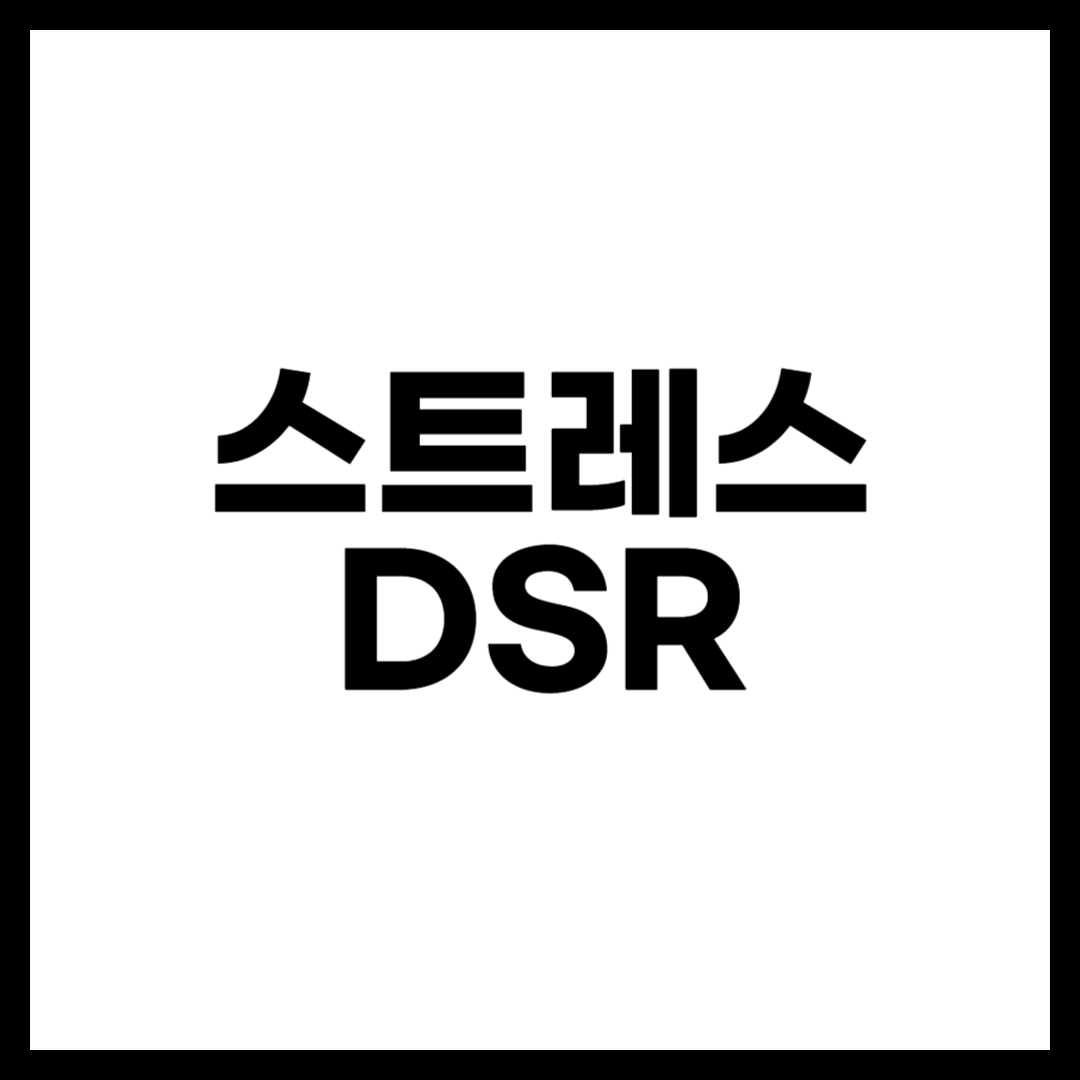 스트레스 DSR