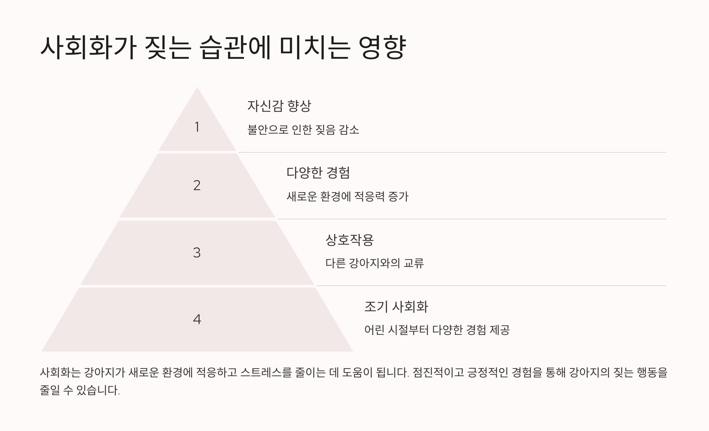 사회화가 짖는 습관에 미치는 영향