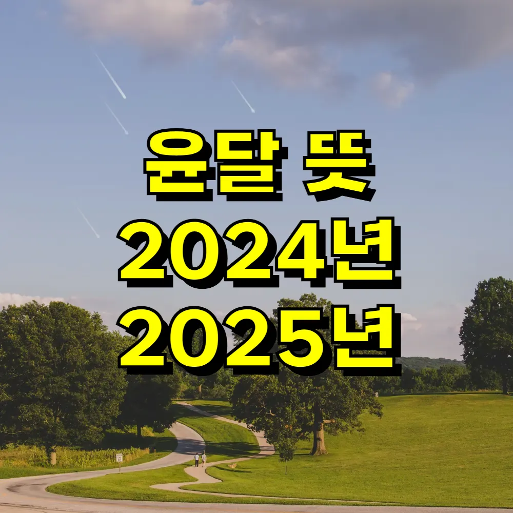 윤달 뜻 2024년 2025년