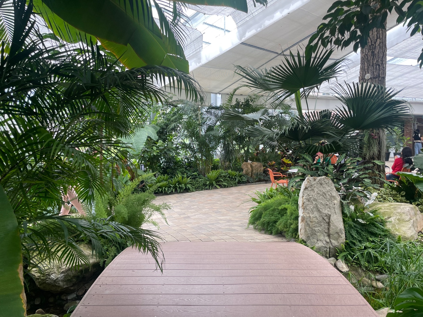 용인 자작나무숲 베툴라 대형 베이커피 카페