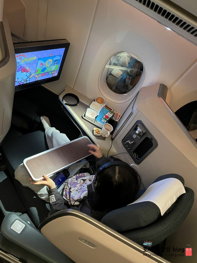 캐세이퍼시픽 비즈 좌석