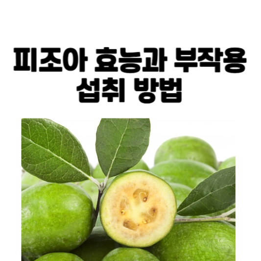 피조아 효능과 부작용 및 섭취 방법