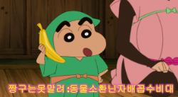 짱구는못말려 :동물소환닌자배꼽수비대