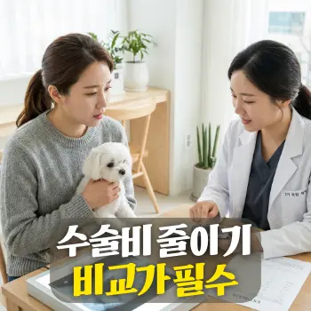 수술비 줄이기 비교가 필수
30대 보호자(한국인)가 안쓰러운 표정으로 말티즈 반려견을 안고 동물병원 진료실에서 수의사(한국인)와 상담하는 장면, 테이블 위에는 강아지 엑스레이 사진과 견적서가 놓여있음