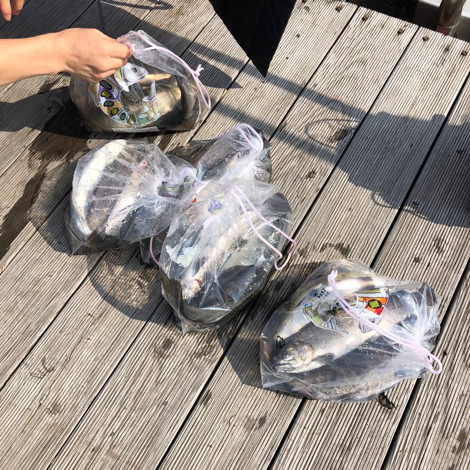 산천어 낚시 후기 [출처: 모든것들의 리뷰]