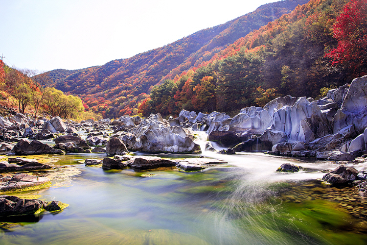 청송 백석탄 계곡