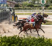 한국마사회 경마지원직&middot;청년인턴&middot;정규직 채용 총정리